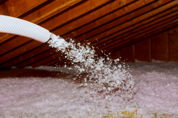 Lealman, FL Insulation Contractor Company