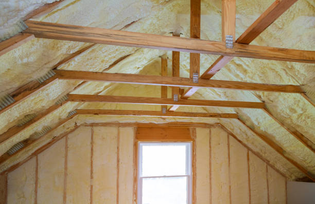 Best Blown-in Insulation in Lealman, FL