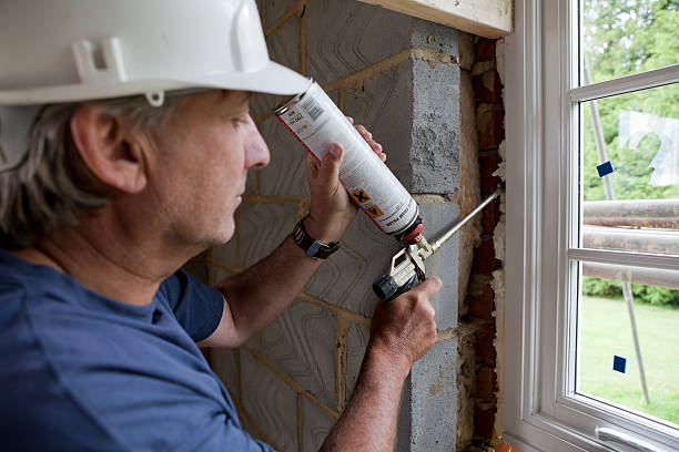 Best Residential Insulation in Lealman, FL