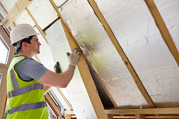 Best Commercial Insulation in Lealman, FL
