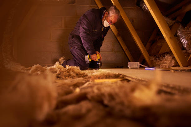 Types of Insulation We Offer in Lealman, FL